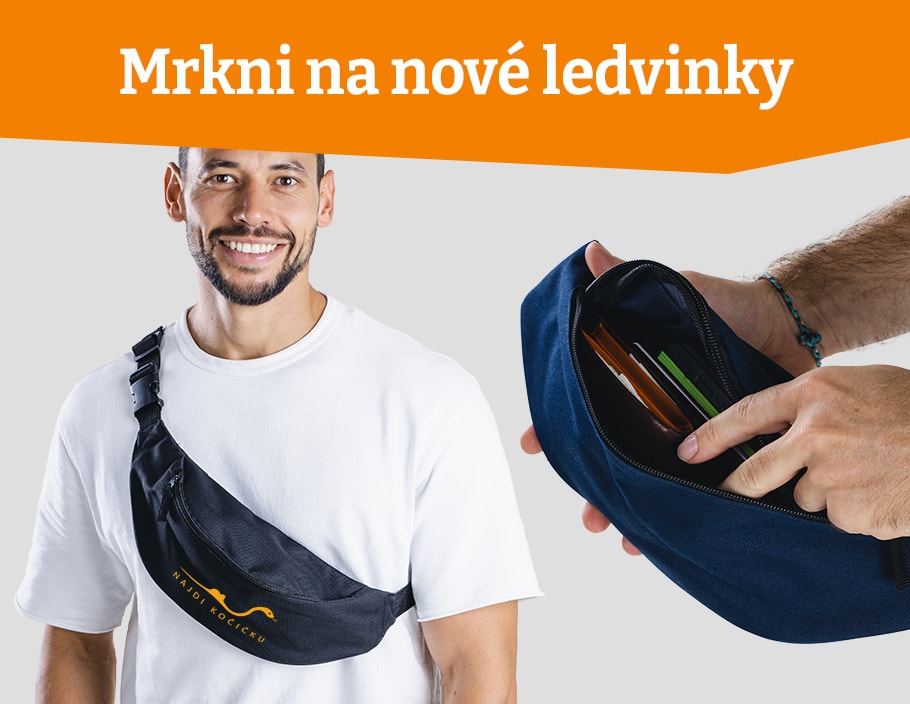 Nové ledvinky